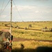 U.S. Marines, allied forces conduct combined arms live fire exercise during Sea Breeze 26 in Romania