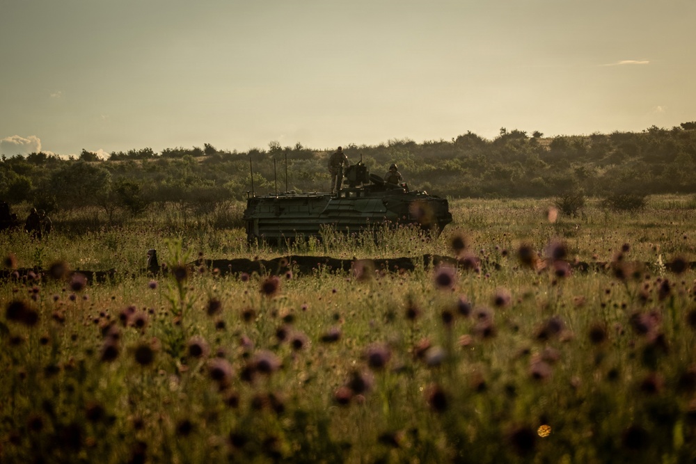 U.S. Marines, allied forces conduct combined arms live fire exercise during Sea Breeze 26 in Romania