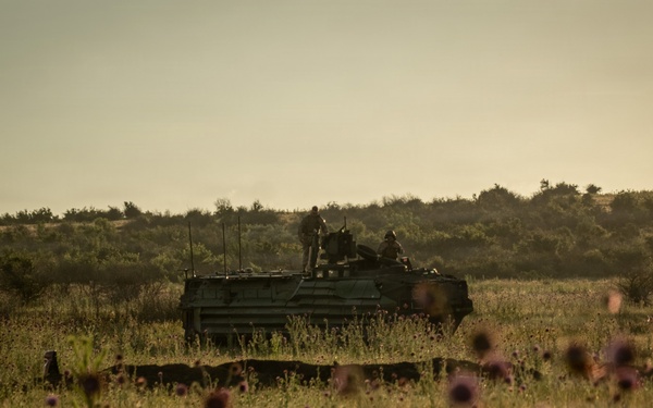 U.S. Marines, allied forces conduct combined arms live fire exercise during Sea Breeze 26 in Romania