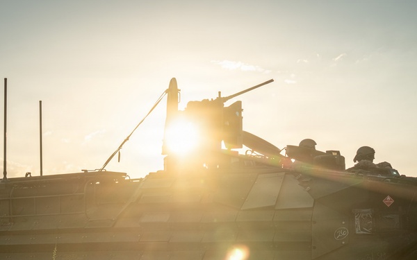 U.S. Marines, allied forces conduct combined arms live fire exercise during Sea Breeze 26 in Romania