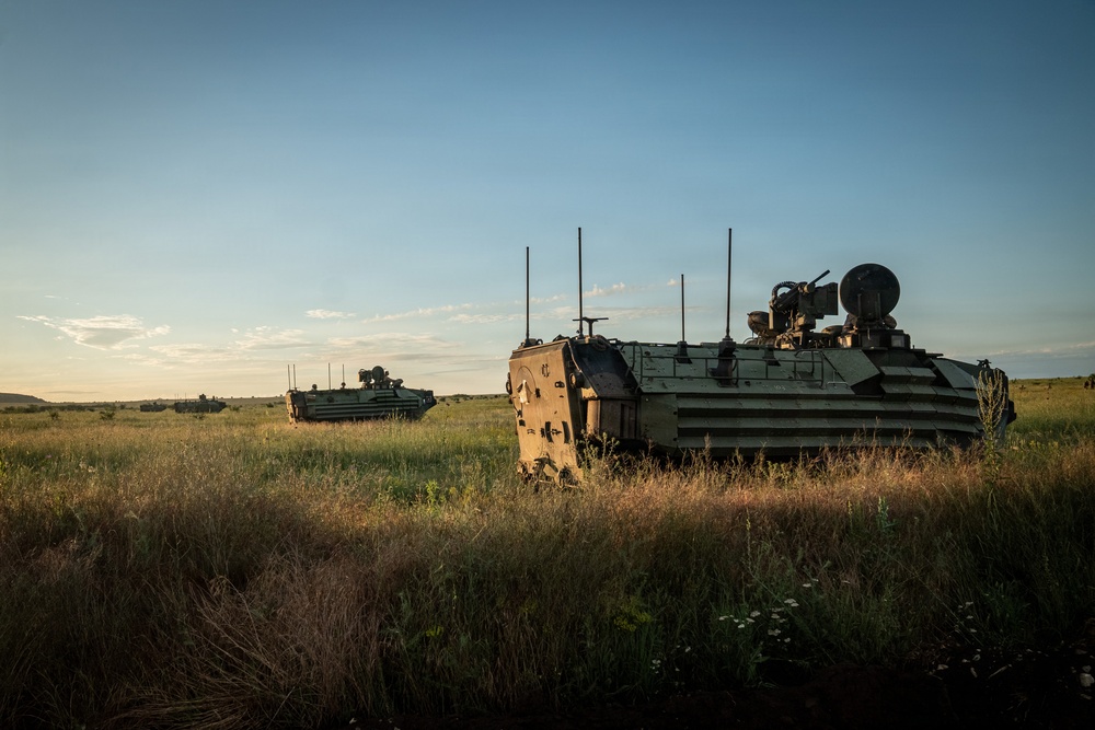 U.S. Marines, allied forces conduct combined arms live fire exercise during Sea Breeze 26 in Romania