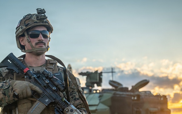 U.S. Marines, allied forces conduct combined arms live fire exercise during Sea Breeze 26 in Romania