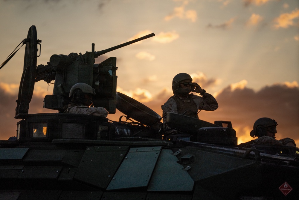 U.S. Marines, allied forces conduct combined arms live fire exercise during Sea Breeze 26 in Romania