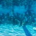 4th Combat Camera Squadron trains on underwater photography capabilities