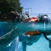 4th Combat Camera Squadron trains on underwater photography capabilities