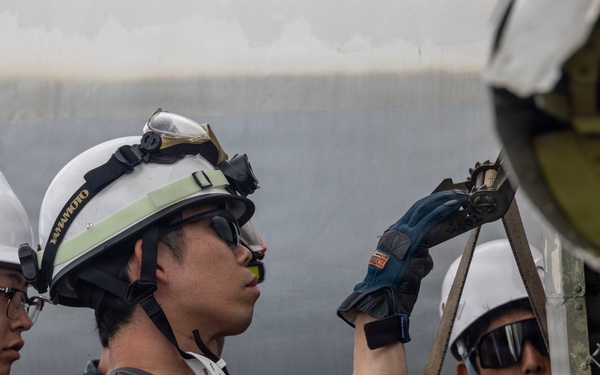U.S. Forces and Allied Partners Strengthen Cooperation During CDDAR Exercise