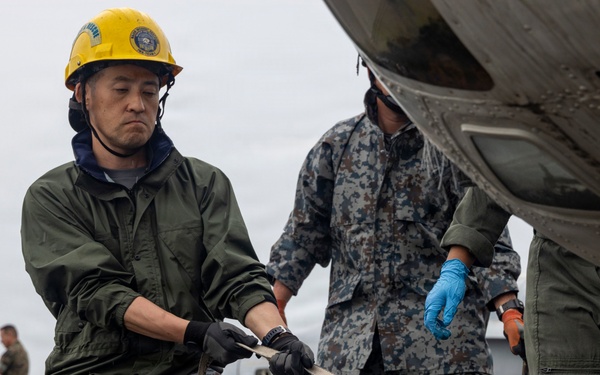 U.S. and Allied Forces Conduct Joint CDDAR Operations