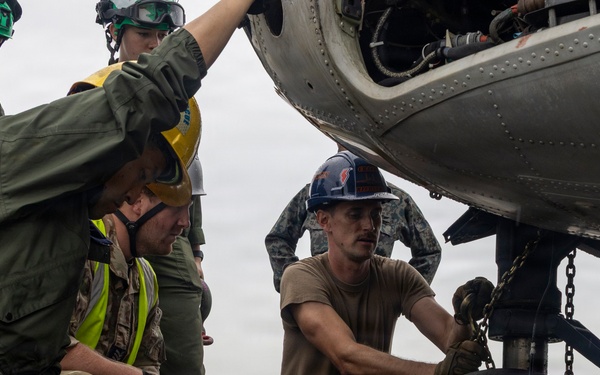 U.S. and Allied Forces Conduct Joint CDDAR Operations