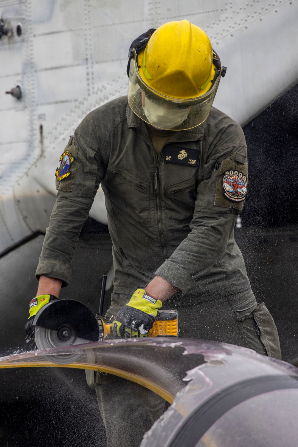 U.S. and Allied Forces Conduct Joint CDDAR Operations