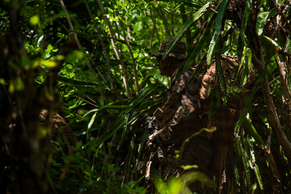 3rd Littoral Combat Team participates in a jungle survival exercise in the Philippines