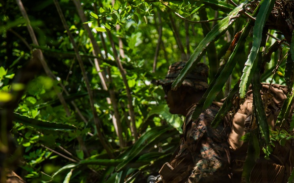 3rd Littoral Combat Team participates in a jungle survival exercise in the Philippines