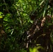 3rd Littoral Combat Team participates in a jungle survival exercise in the Philippines