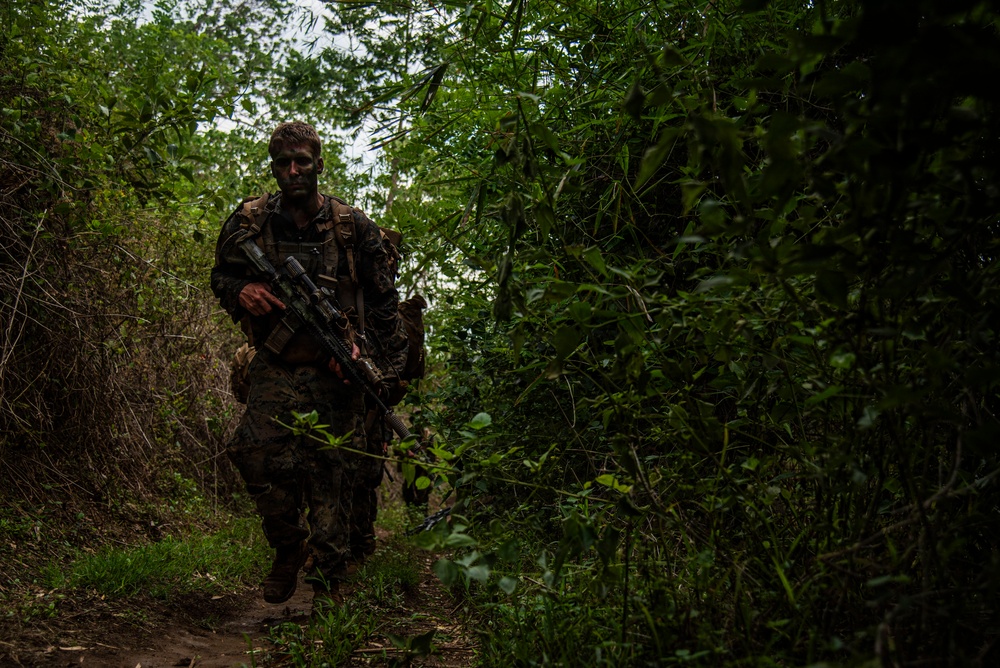 3rd Littoral Combat Team participates in a jungle survival exercise in the Philippines