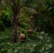 3rd Littoral Combat Team participates in a jungle survival exercise in the Philippines