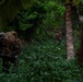 3rd Littoral Combat Team participates in a jungle survival exercise in the Philippines
