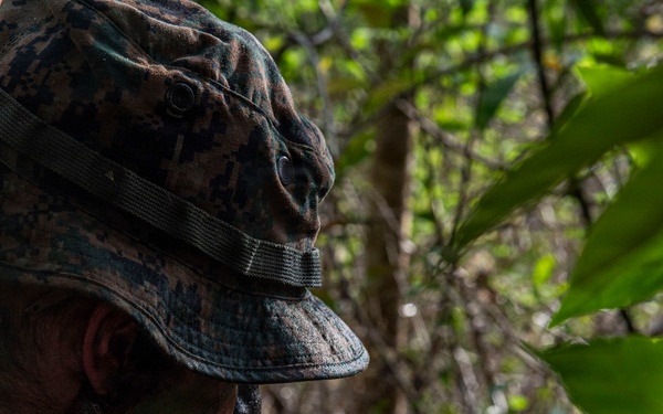 3rd Littoral Combat Team participates in a jungle survival exercise in the Philippines