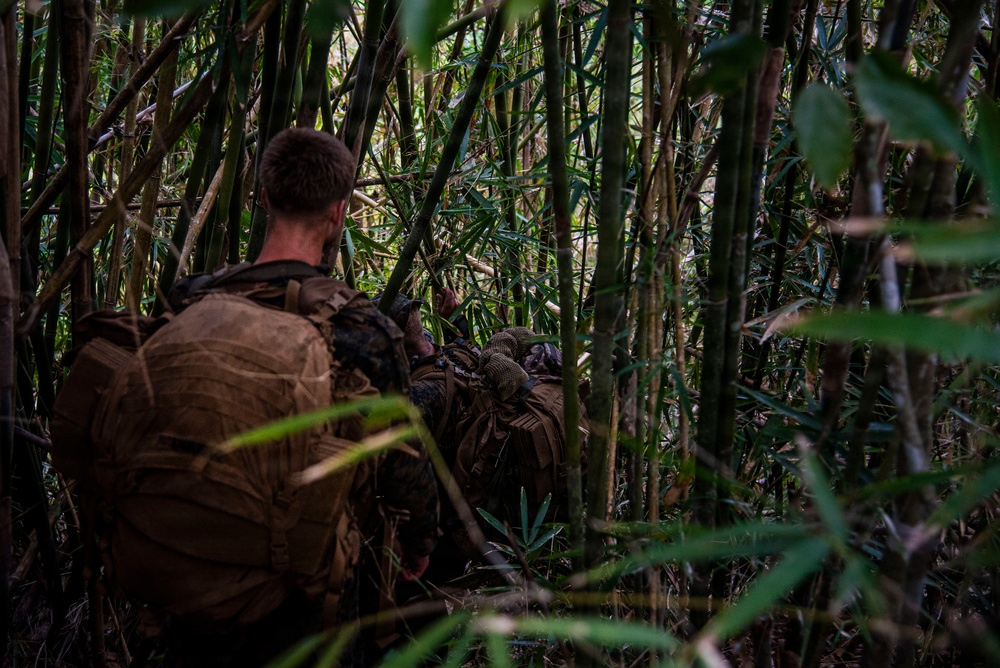 3rd Littoral Combat Team participates in a jungle survival exercise in the Philippines