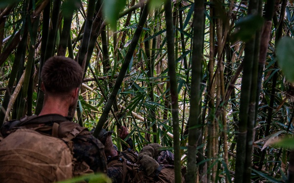 3rd Littoral Combat Team participates in a jungle survival exercise in the Philippines