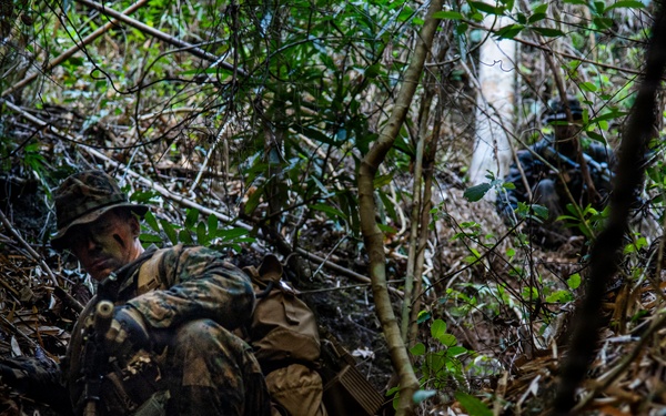 3rd Littoral Combat Team participates in a jungle survival exercise in the Philippines