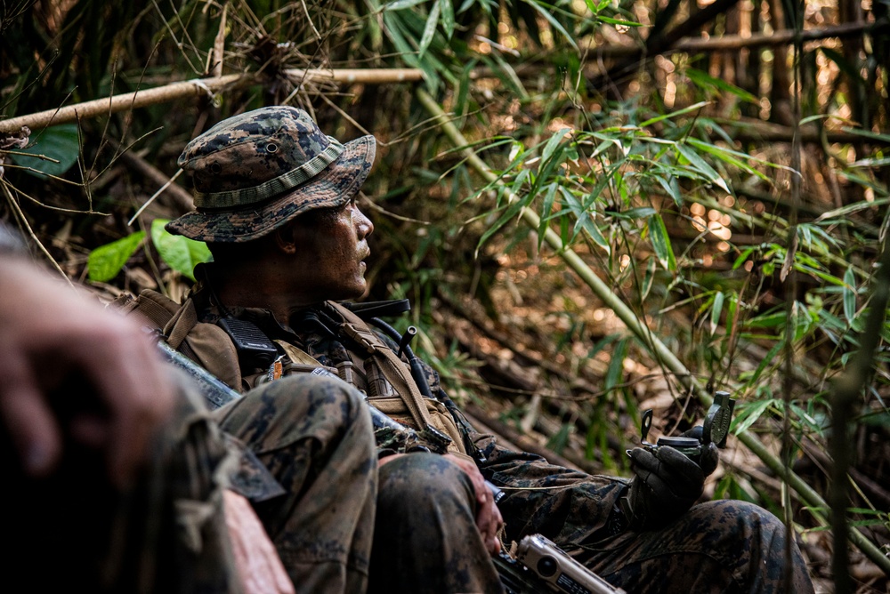 3rd Littoral Combat Team participates in a jungle survival exercise in the Philippines