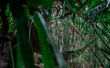 3rd Littoral Combat Team participates in a jungle survival exercise in the Philippines