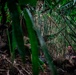 3rd Littoral Combat Team participates in a jungle survival exercise in the Philippines