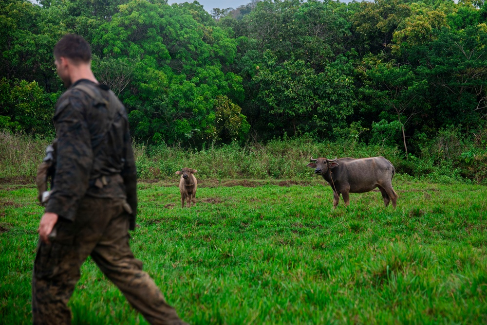 3rd Littoral Combat Team participates in a jungle survival exercise in the Philippines