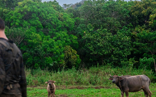 3rd Littoral Combat Team participates in a jungle survival exercise in the Philippines