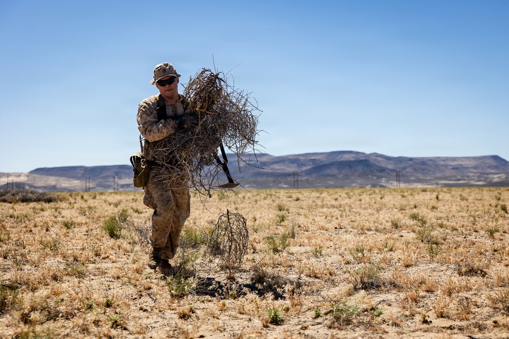 Resolute Hunter 26-2: 5th Air Naval Gunfire Liaison Company Marines establish communications and observe targets in austere environment