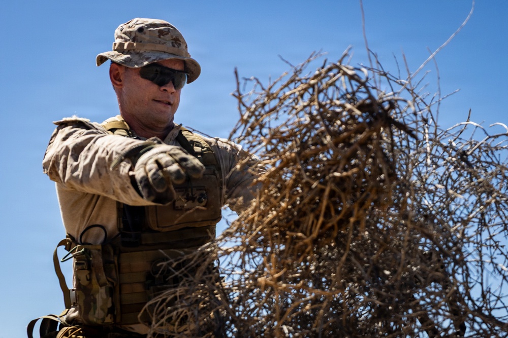 Resolute Hunter 26-2: 5th Air Naval Gunfire Liaison Company Marines establish communications and observe targets in austere environment