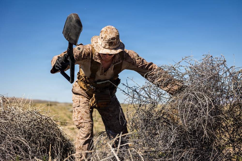 Resolute Hunter 26-2: 5th Air Naval Gunfire Liaison Company Marines establish communications and observe targets in austere environment