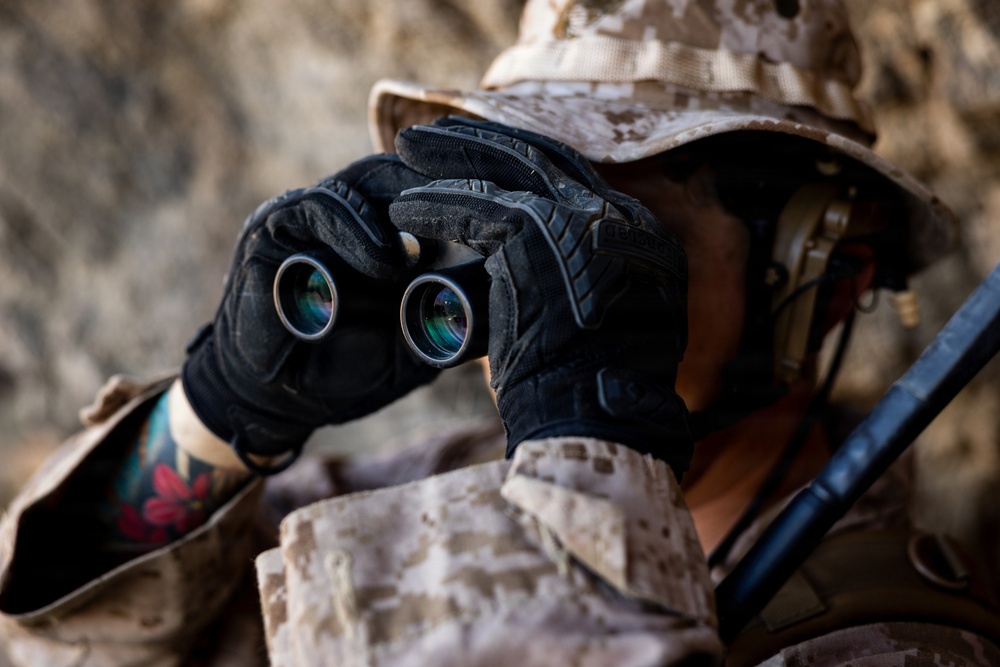 Resolute Hunter 26-2: 5th Air Naval Gunfire Liaison Company Marines establish communications and observe targets in austere environment
