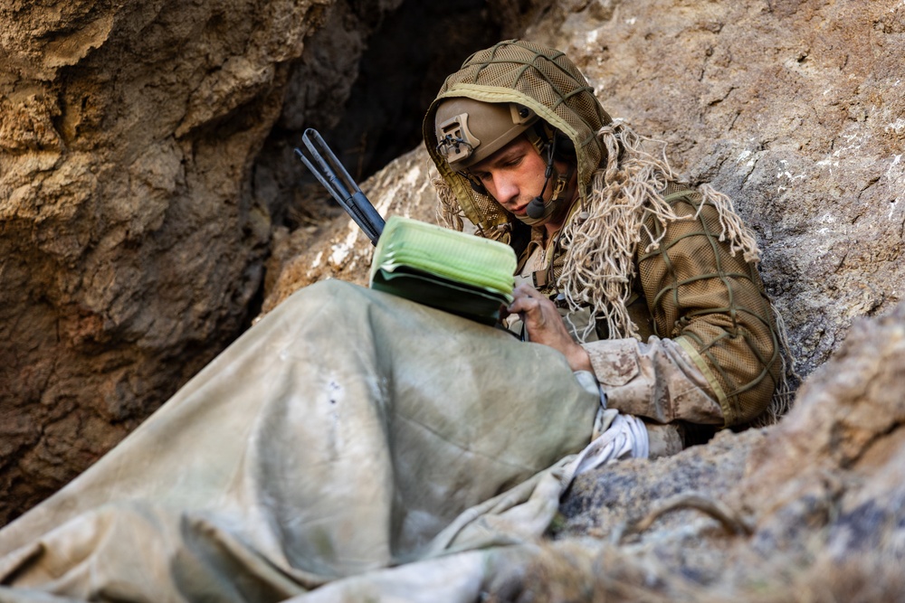 Resolute Hunter 26-2: 5th Air Naval Gunfire Liaison Company Marines establish communications and observe targets in austere environment