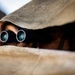 Resolute Hunter 26-2: 5th Air Naval Gunfire Liaison Company Marines establish communications and observe targets in austere environment