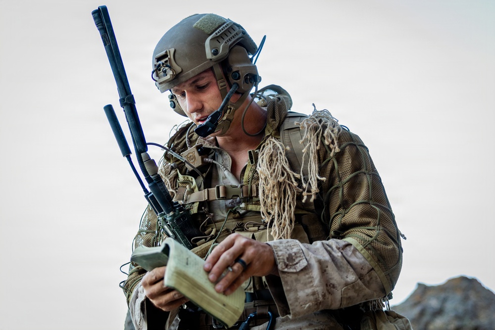 Resolute Hunter 26-2: 5th Air Naval Gunfire Liaison Company Marines establish communications and observe targets in austere environment