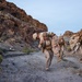 Resolute Hunter 26-2: 5th Air Naval Gunfire Liaison Company Marines establish communications and observe targets in austere environment