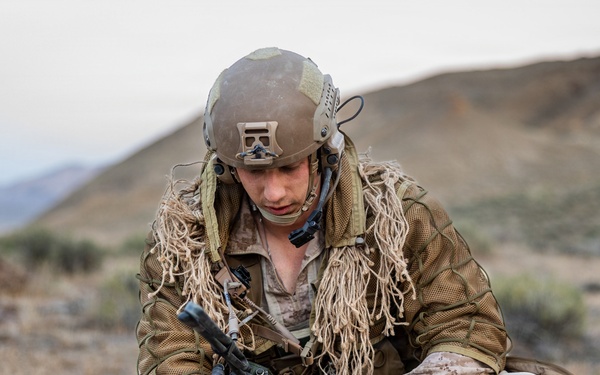 Resolute Hunter 26-2: 5th Air Naval Gunfire Liaison Company Marines establish communications and observe targets in austere environment