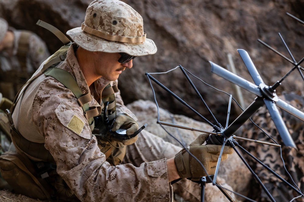 Resolute Hunter 26-2: 5th Air Naval Gunfire Liaison Company Marines establish communications and observe targets in austere environment