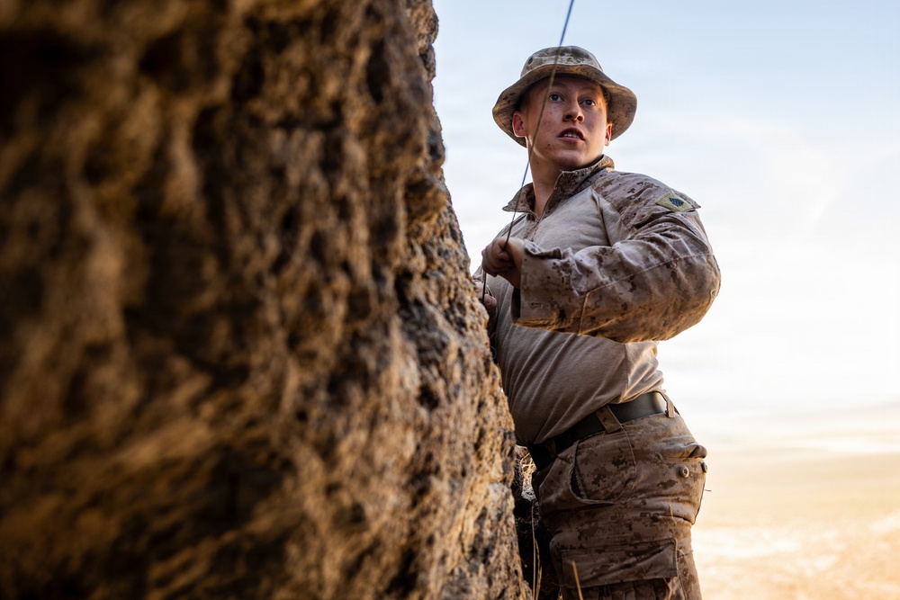 Resolute Hunter 26-2: 5th Air Naval Gunfire Liaison Company Marines establish communications and observe targets in austere environment