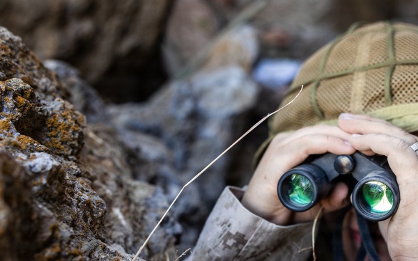 Resolute Hunter 26-2: 5th Air Naval Gunfire Liaison Company Marines establish communications and observe targets in austere environment