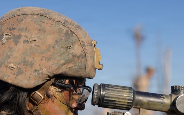 Predator’s Walk 26: US Marines with B Co. conduct squad attack drills