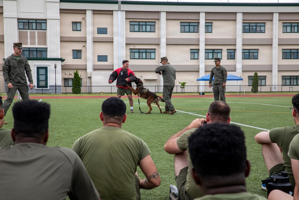 U.S. Marines with MAG-12 participate in 100 days of summer