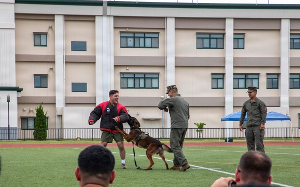 U.S. Marines with MAG-12 participate in 100 days of summer