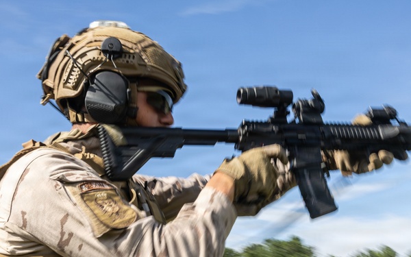 Fleet Exercise 250 | Multinational Precision Fire Range