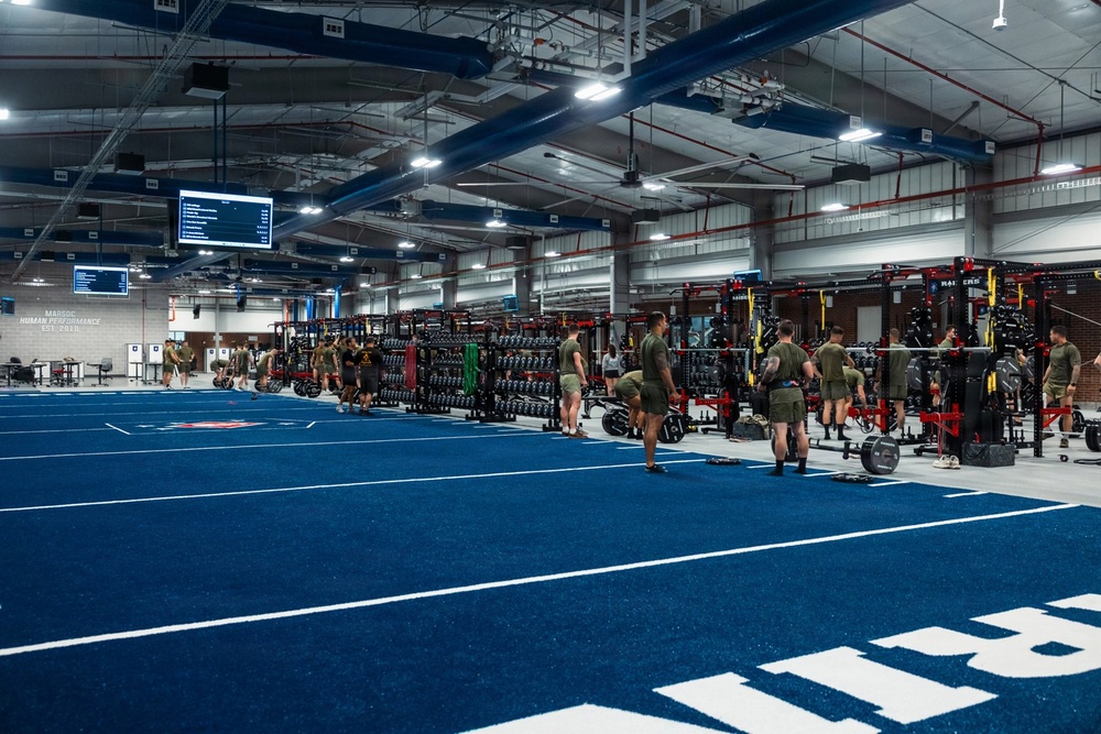 MARSOC Marines conduct physical training event
