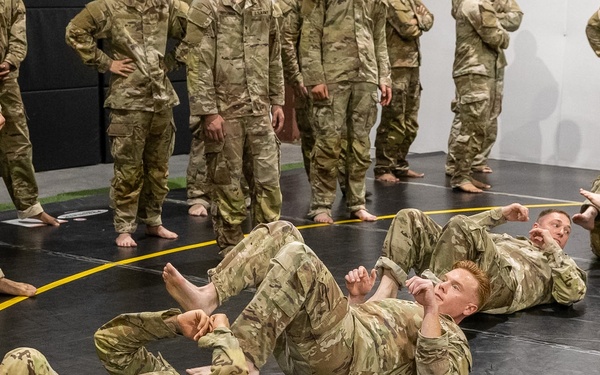 Basic Combatives Course