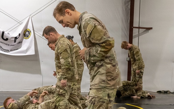 Basic Combatives Course