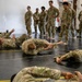 Basic Combatives Course