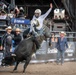 U.S. Space Force, PBR Celebrate America 250 at Falcon Stadium