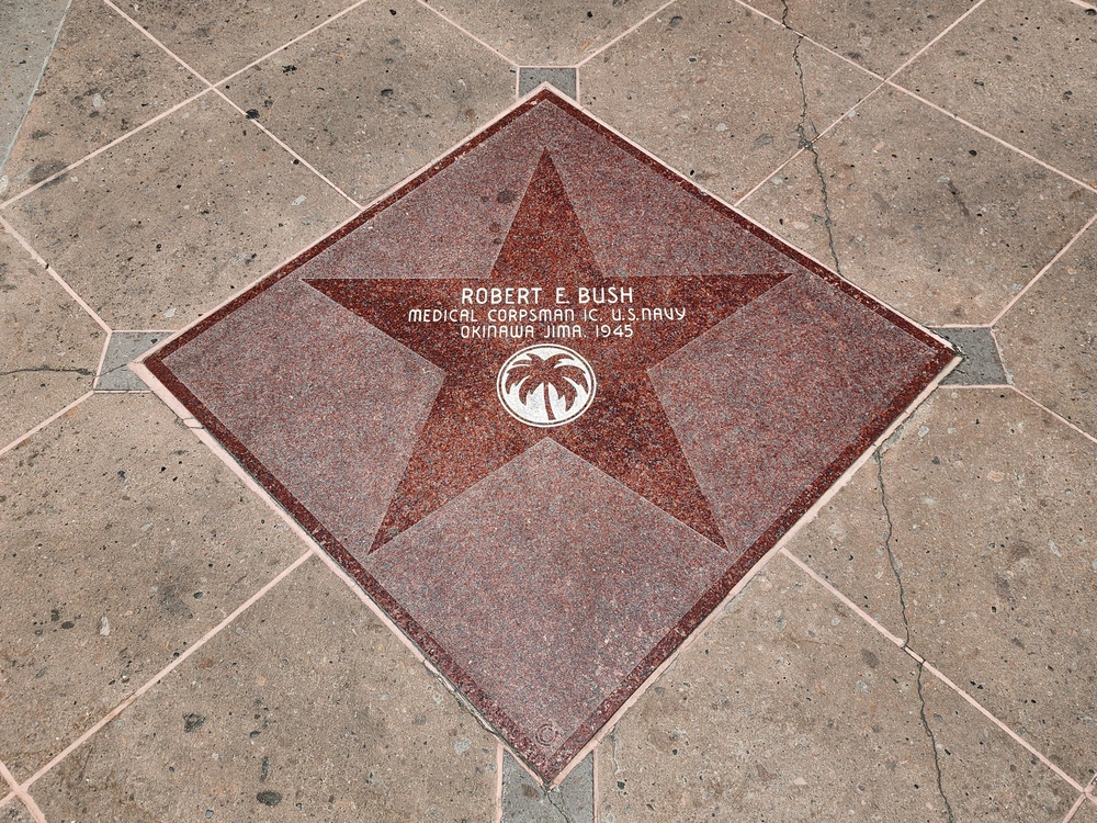 HM3 Robert E. Bush "Golden Palm" Star